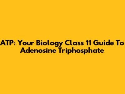 ATP: Your Biology Class 11 Guide To Adenosine Triphosphate