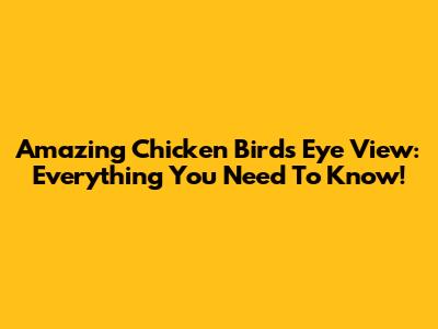 Amazing Chicken Birds Eye View: Everything You Need To Know!