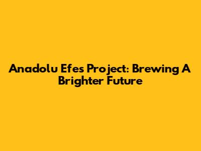 Anadolu Efes Project: Brewing A Brighter Future