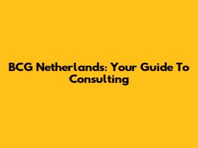 BCG Netherlands: Your Guide To Consulting