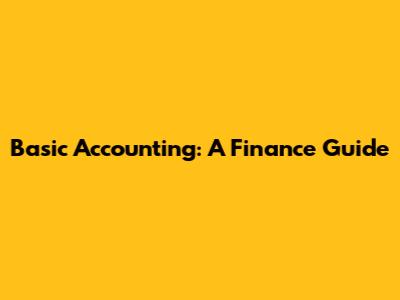 Basic Accounting: A Finance Guide