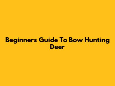 Beginner's Guide To Bow Hunting Deer