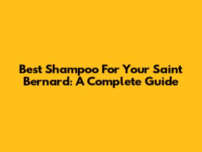 Best Shampoo For Your Saint Bernard: A Complete Guide