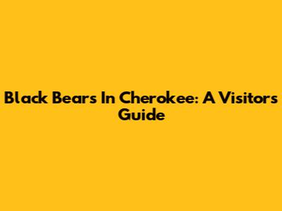 Black Bears In Cherokee: A Visitor's Guide
