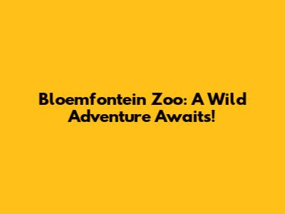 Bloemfontein Zoo: A Wild Adventure Awaits!