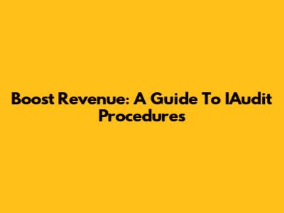 Boost Revenue: A Guide To IAudit Procedures