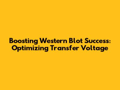 Boosting Western Blot Success: Optimizing Transfer Voltage
