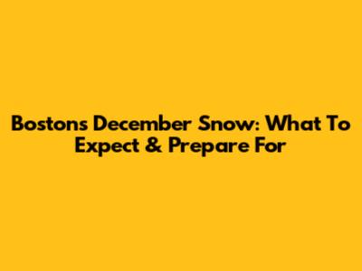 Boston's December Snow: What To Expect & Prepare For