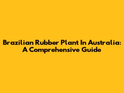 Brazilian Rubber Plant In Australia: A Comprehensive Guide