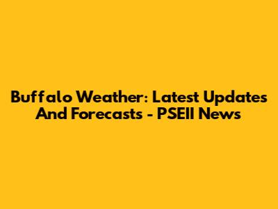 Buffalo Weather: Latest Updates And Forecasts - PSEII News