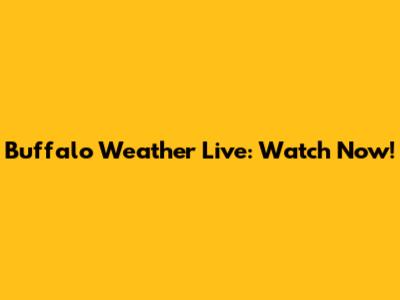 Buffalo Weather Live: Watch Now!