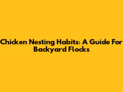 Chicken Nesting Habits: A Guide For Backyard Flocks