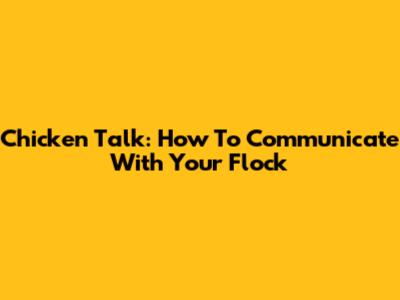 Chicken Talk: How To Communicate With Your Flock