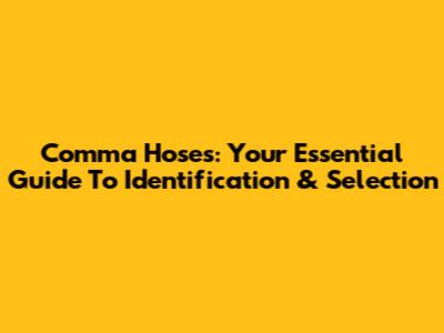 Comma Hoses: Your Essential Guide To Identification & Selection