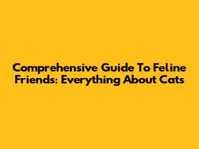 Comprehensive Guide To Feline Friends: Everything About Cats