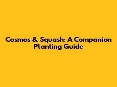 Cosmos & Squash: A Companion Planting Guide