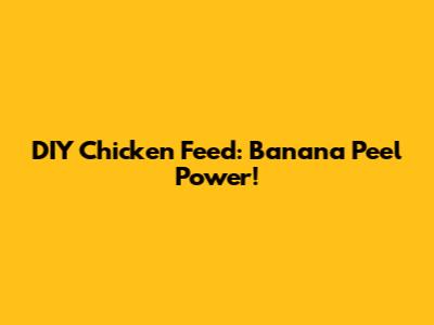 DIY Chicken Feed: Banana Peel Power!