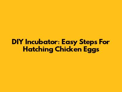 DIY Incubator: Easy Steps For Hatching Chicken Eggs