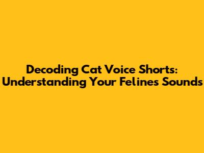 Decoding Cat Voice Shorts: Understanding Your Feline's Sounds