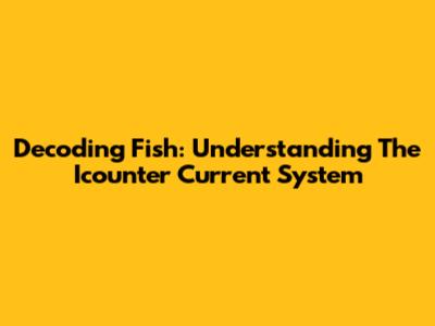 Decoding Fish: Understanding The Icounter Current System