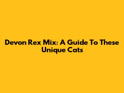 Devon Rex Mix: A Guide To These Unique Cats