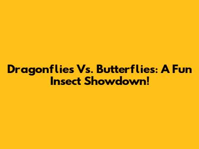 Dragonflies Vs. Butterflies: A Fun Insect Showdown!