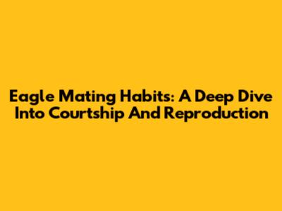 Eagle Mating Habits: A Deep Dive Into Courtship And Reproduction