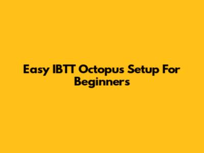Easy IBTT Octopus Setup For Beginners