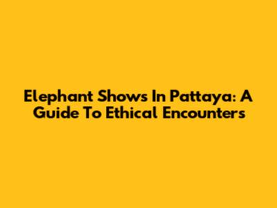 Elephant Shows In Pattaya: A Guide To Ethical Encounters