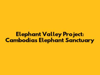 Elephant Valley Project: Cambodia's Elephant Sanctuary