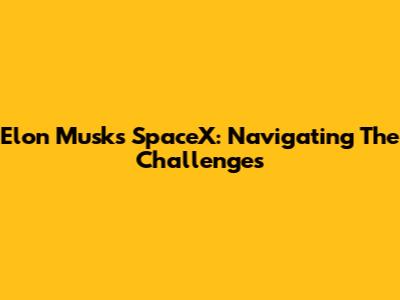 Elon Musk's SpaceX: Navigating The Challenges