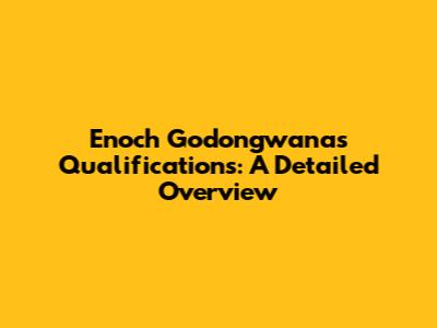 Enoch Godongwana's Qualifications: A Detailed Overview