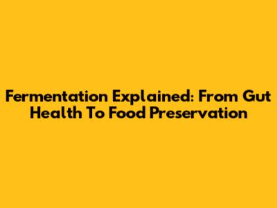 Fermentation Explained: From Gut Health To Food Preservation
