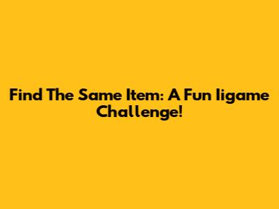 Find The Same Item: A Fun Iigame Challenge!