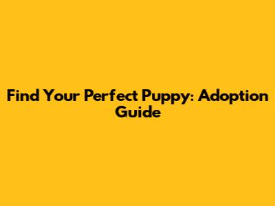 Find Your Perfect Puppy: Adoption Guide