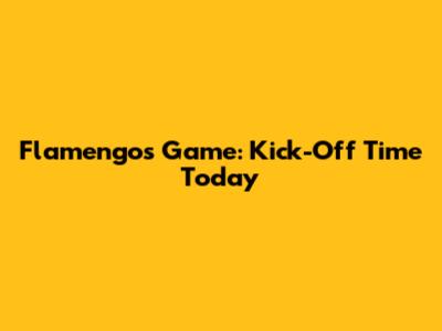 Flamengo's Game: Kick-Off Time Today