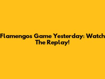 Flamengo's Game Yesterday: Watch The Replay!