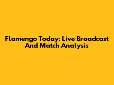 Flamengo Today: Live Broadcast And Match Analysis
