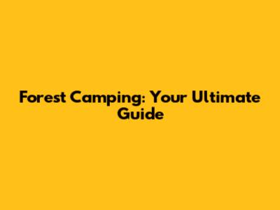 Forest Camping: Your Ultimate Guide