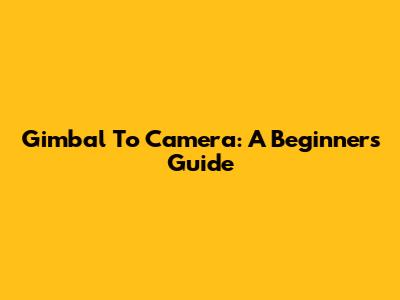 Gimbal To Camera: A Beginner's Guide