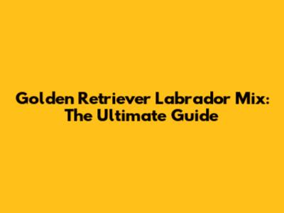 Golden Retriever Labrador Mix: The Ultimate Guide
