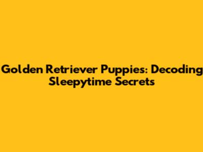 Golden Retriever Puppies: Decoding Sleepytime Secrets