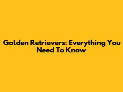 Golden Retrievers: Everything You Need To Know