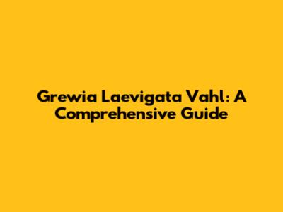Grewia Laevigata Vahl: A Comprehensive Guide