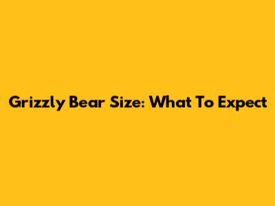 Grizzly Bear Size: What To Expect