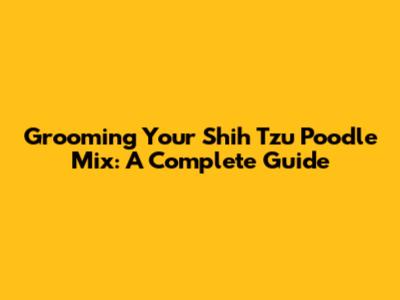 Grooming Your Shih Tzu Poodle Mix: A Complete Guide