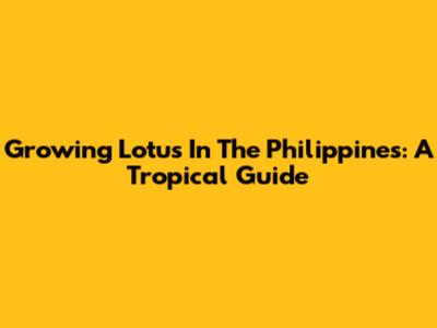Growing Lotus In The Philippines: A Tropical Guide