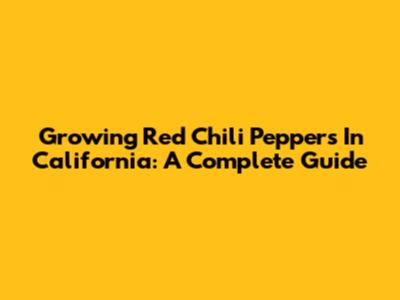 Growing Red Chili Peppers In California: A Complete Guide