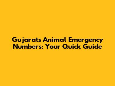 Gujarat's Animal Emergency Numbers: Your Quick Guide
