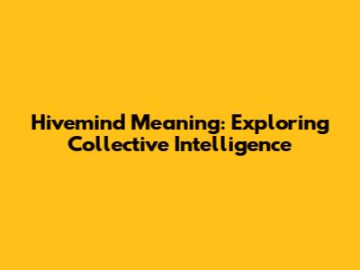 Hivemind Meaning: Exploring Collective Intelligence